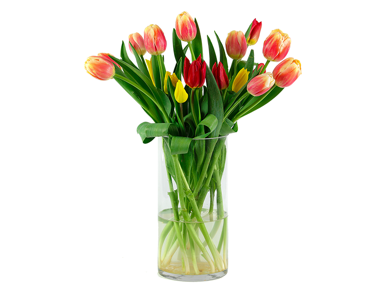 Orbitvu_Planten_01.png